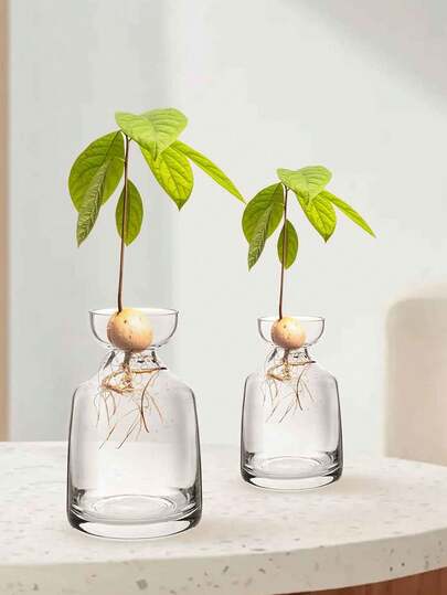 Avocado-Samen-Starter-Vase - Züchte deinen eigenen Avocadobaum Einzigartige Glas-Anzuchttöpfe Für Gartenfreunde Starte jetzt deine grüne Reise! Heimdekoration Zimmerdekoration Blumenvase Glasvase