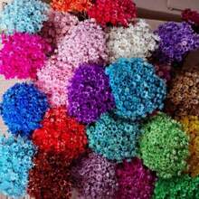 200 Everlasting Flower Mosquito Dehydrated Deposit - Màu Hồng Tươi - Xem 1