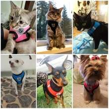 Juego de correa y collar con sistema antifuga, ajustable al pecho y espalda, con cinta reflectante de seguridad, hecho de material de malla suave y transpirable para mascotas, gatos y perros