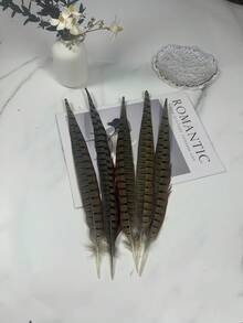 THARAHT 5pcs/Set Women Round Neck Wild Pheasant Feather, Natural Reeve's Pheasant Feathers 10cm-90cm, Suitable For Crafts, Home, Wedding, Party, Performance, DIY Decoration, Reeve's Pheasant Feather