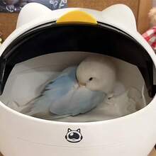 Ultra Comfort Flip-Top Bird Nest Box - Washable Cabin For Parrots/Cockatoos, Removable Base, Breathable Design | 2-Use Scenarios, No Batteries, Reusable Habitat - White - View 10