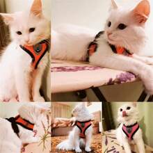 Juego de correa y collar con sistema antifuga, ajustable al pecho y espalda, con cinta reflectante de seguridad, hecho de material de malla suave y transpirable para mascotas, gatos y perros