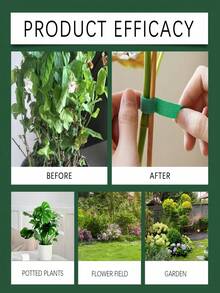 1 Packung 30 Stücke Pflanzenbinder, vielseitig einsetzbare verstellbare Bindeschnüre für Garten/Innenraum, unterstützen Kletterpflanzen, sichern empfindliche Äste, einfach zu verwenden und wiederverwendbar