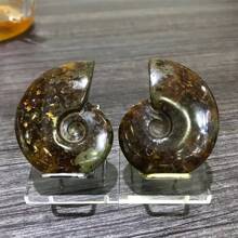 1 Stück Mineralienständer, Acryl Mineralien Sockel & Kristallkugel Halter Regal, Mineralienständer, Fossil Ausstellungsregal, Steine, Vermessung, Achat, Kristalle, Rohsteine, einzigartiger Steinständer, Handyhalter, Weihnachtsgeschenk