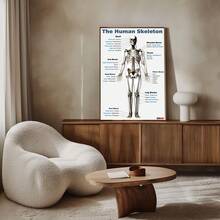 1/3pcs Human Anatomy Poster, Science Posters Optional Frame, Human Biology, 6 Poster, High School Science, Educational Poster, Classroom Decor, Wall Arts ,Wall Art With Frame - Multicolor - View 9