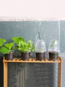 10sets-Clear Nursery Pots With Humidity Dome, 10CM Plastic Plant Pot Seedling Start Pots Flower Pot With Drain Holes For Flower Plant See,Gardening Supplies,Gardening,Garden,Pots For Plants,Room Decor,Home Decor,DIY Gardening Signs,Transparent Plastic Gardening Pot Planting Containers Cups Planter Small Starter Seed Starting Trays For Seedling (Clear) - 透明色 - 查看 5