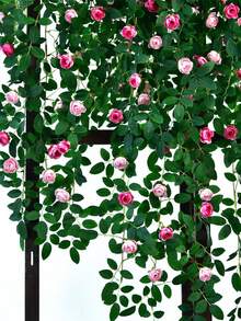 3pcs 6Ft Bendable Pink Rose Flower Garland,Artificial Silk Wild Roses Vine Leaves Hanging Flowers,For Wall Fireplace Fence Trellis Decoration,Wedding Party Room Indoor Outdoor Decoration,Christmas Thanksgiving Day Valentine's Day Decor,Yard Balcony Garden Spring Summer Fall Decor,Home Bedroom Bathroom Living Room Decor - Multicolor - View 3