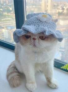 1pc Handmade Knitted Pet Hat, Cute Funny Costume For Cats And Small Dogs