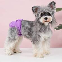 1 Pantalon sanitaire femelle de chien de couleur unie, pantalon menstruel, pantalon physiologique de chien, couches interchangeables et lavables, couches pour chiens, pantalon physiologique de période menstruelle, équipement spécial pour chiens