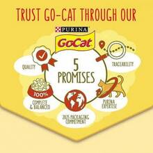 Purina Go-Cat Delicious Dry Cat Food - 1 - View 2