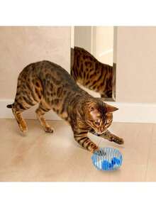 1pc Cat Spring Balls Stretchable Springs Toys Interactive Rolling Balls Colorful Playful Coils Spring Action Toy Caged Rats For Kitten Cat Pet Supplies Indoor - View 7