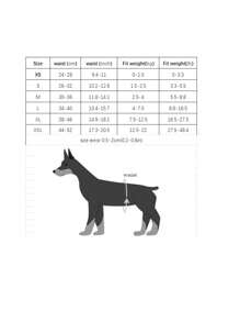 Culotte pour chienne en période physiologique, rose et bleue, avec 5 pièces de serviettes hygiéniques