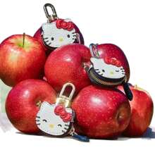 Sanrio 1 pieza Llavero de Hello Kitty - Estuche de llaves de piel, con cremallera dorada, llavero multifuncional, diseño compacto, adecuado para uso doméstico, regalos festivos, accesorios de decoración, cierre de cremallera duradero, organizador de llaves, aplicable para accesorios de Hello Kitty, decoración para parejas