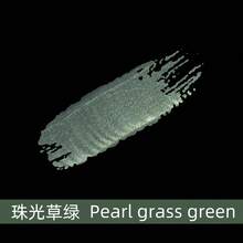 XIAJIAER 300ml/100ml Chagall 珠光丙烯颜料，美术用品，金色/银色瓶装颜料，适合初学者、美术绘画爱好者、兴趣班、培训机构、舞台剧、装饰涂鸦、返校、学校用品 - 彩色 - 查看 22
