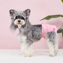 1 Pantalon sanitaire femelle de chien de couleur unie, pantalon menstruel, pantalon physiologique de chien, couches interchangeables et lavables, couches pour chiens, pantalon physiologique de période menstruelle, équipement spécial pour chiens