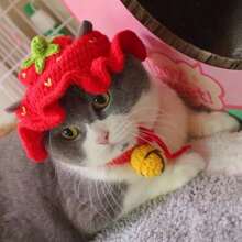 1pc Handmade Knitted Pet Hat, Cute Funny Costume For Cats And Small Dogs