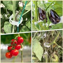 100pcs Tomato Clips, Plastic Greenhouse Clips, Plant Support Clips, Grape Vine Clips, Tomato Vines, Vegetable Plant Clips, Garden Clips, Seedling Fixation Clips, To Keep Plants Upright And Healthy - Multicolor - View 2