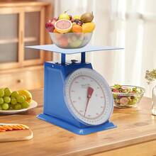 HOHOBLA 110Lbs Mechanical Dial Scale, Mechanical Food Scales For Kitchen, High Accuracy Mechanical Retail Store Scale, Heavy Duty Industrial Dial Scale For Supermarket, Food Market, Snack Shop