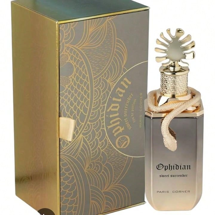 Paris Corner Perfume - Brown - View 1