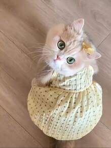 1pc High-Quality Pet Dress, PrincessStyle Light Fabric, Yellow DaisyOmbre Tutu Dress For Cats & SmalBreed Dogs, New Spring/SummerArrival