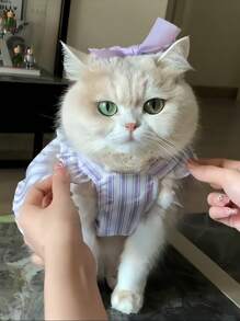 Cat Print Princess Stvle Ombre FurMesh Summer Dress For Small Dogs& Cats,Lightweight