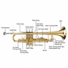 New Bb Trumpet Standard Trumpet Set For Student Beginner With Hard Case Golden