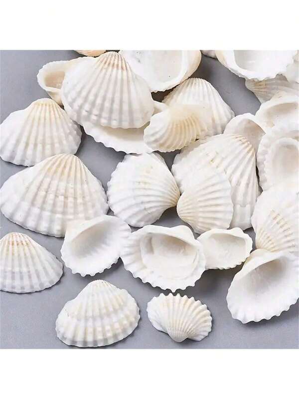 50pcs/Set Mini White Clams & Seashells, Suitable For DIY Crafts, Home Decor, Vase Filler