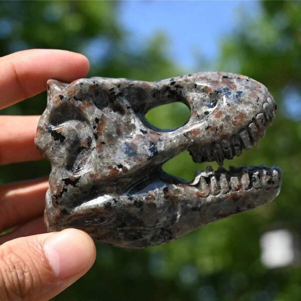 1 pièce Crâne de dinosaure en Yooperlite unique - Convient pour la maison, le bureau, l'ornement de l'aquarium - Accessoires de sculpture DIY - Cadeau parfait pour Halloween, Noël et la famille et les amis