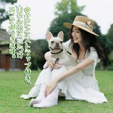 6 12cm Oniyanma-Kun Dragonfly Insect Repellent Mosquito Bee Insect Repellent Oniyanma-Kun Brooch Dragonfly Oni 2025 Summer Goods Wasp Countermeasures Clothing Entrance Indoor Decoration Etc. - Multicolor 6-pack - View 4