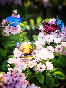 20pcs Colorful Garden Butterfly Stakes, Decorative Waterproof Butterfly Garden Stake, Decor 3D Butterfly Party, Supplies Yard Stakes For Garden Patio Lawn, Rnaments Party Plant Pot Decorations, Wedding Decoration, Garden Decoration, Valentine's Day Modern Home Decorations, Flower Pots And Bonsai Glowing Colourful Decorations, Garden Decor, Garden