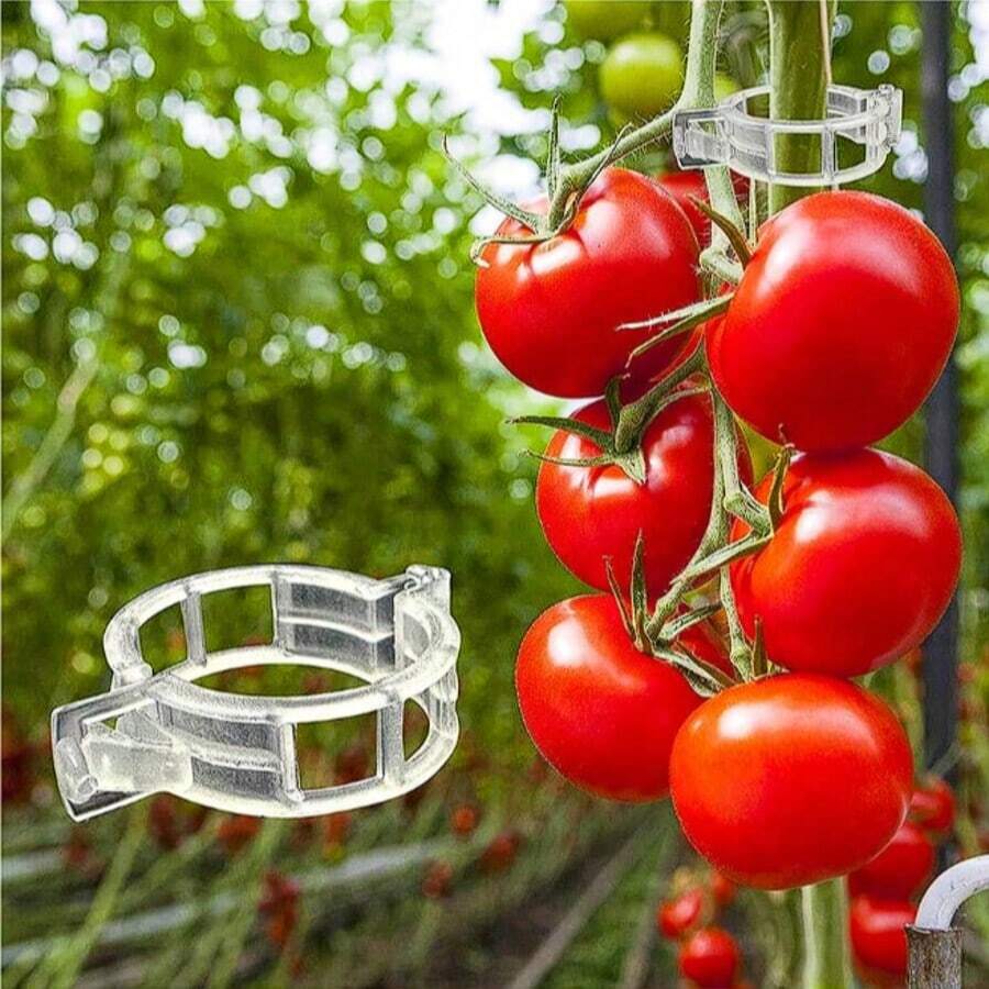 100pcs Tomato Clips, Plastic Greenhouse Clips, Plant Support Clips, Grape Vine Clips, Tomato Vines, Vegetable Plant Clips, Garden Clips, Seedling Fixation Clips, To Keep Plants Upright And Healthy - Multicolor - View 1