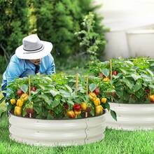 Aoodor 2-Piece Galvanized Raised Garden Bed Kit, 9" Tall Aluzinc Metal 30" Round Planter Boxes For Vegetables, Flowers, And Herbs, Outdoor Use - 白色 - 查看 3