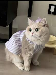 Cat Print Princess Stvle Ombre FurMesh Summer Dress For Small Dogs& Cats,Lightweight
