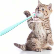Cepillo de dientes para mascotas de cerdas suaves de color aleatorio, cepillo de dientes de 360° para limpieza dental, aseo de mascotas, productos para mascotas. Cepillo de dientes pequeño para perros y gatos para una limpieza profunda de los dientes.