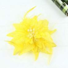 1. 女士头饰帽，花园茶会帽，复古肯塔基帽，多件套 2. 德比婚礼花卉鸡尾酒面纱羽毛发夹 3. 万圣节圣诞派对爪形发夹，发爪，发卡，学习用品 - 彩色 - 查看 4