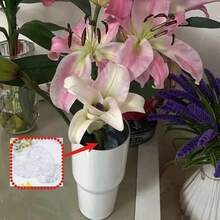 4 peças de arranjos de flores espirais em formato de favo de mel transparente - Suportes de hastes de plástico duráveis para buquês de casamento "faça você mesmo" e arranjos florais elegantes, perfeitos para arranjos florais e decoração de casamento | Arranjos florais elegantes | Vasos de plástico duráveis para decoração de festas e feriados