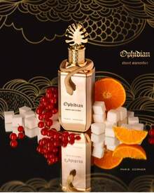 Paris Corner Perfume - Brown - View 3