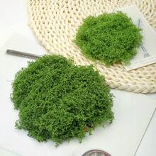 1pc Artificial Moss, Algae, Landscaping, Bionic Fake Grass Mat, Mini Scene, Decorative Set, Lawn, Potted Plant
