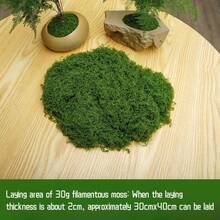1pc Artificial Moss, Algae, Landscaping, Bionic Fake Grass Mat, Mini Scene, Decorative Set, Lawn, Potted Plant