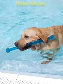 Juguetes para morder para perros - Pelotas y palos para morder - Para Labrador, Golden Retriever, Corgi - Entrenamiento y limpieza dental