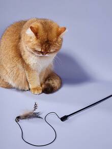 PETSIN 1支人造珍珠貓毛互動貓玩具棒 - 黑與白 - 查看 2