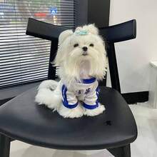 春夏轻薄无毛猫服装，复古斯芬克斯猫T恤 - 橘色 - 查看 3
