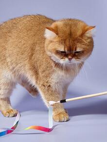 PETSIN 1 件 7 色彩虹丝带逗猫棒互动玩具 - 彩色 - 查看 2