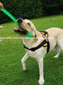 Juguetes para morder para perros - Pelotas y palos para morder - Para Labrador, Golden Retriever, Corgi - Entrenamiento y limpieza dental