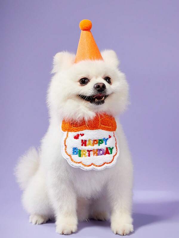 PETSIN 2 piezas/set Disfraz de cumpleaños para mascota gato o perro, hecho de poliéster, accesorios de dibujos animados lindos para cumpleaños, fiesta, celebración festiva