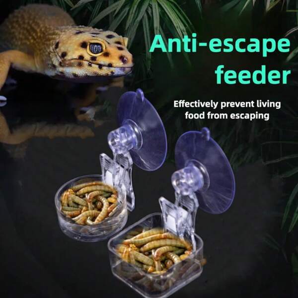 Bol d'alimentation pour lézard (avec 1 ventouse) anti-évasion, convient pour l'alimentation des caméléons, dragons barbus, geckos et vers de farine, comprend de la nourriture et de l'eau