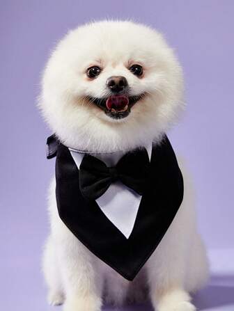 PETSIN 1 件狗狗礼服、狗狗婚礼头巾围巾、宠物蝴蝶结项圈、可调节狗狗礼服正式服装，适合生日派对，适合小型、中型和大型犬猫、狗狗情人节装扮角色扮演