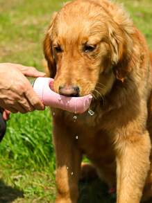 PETSIN 1 pezzo Bottiglia d'acqua portatile per animali domestici con ciotola, tazza d'acqua per cani da passeggio, articoli per cani da esterno