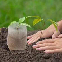 10/50/100Pcs Nursery Bag Plant Grow Bags Non-Woven Fabric Seeds To Sow Flower Pots For Home Garden Accessories Tools