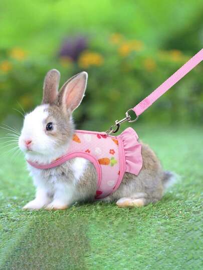 1 Set Arnés de pecho para mascotas, arnés para conejos, cobayas, perros pequeños, gatos, correa para pasear a la mascota, artículos para mascotas